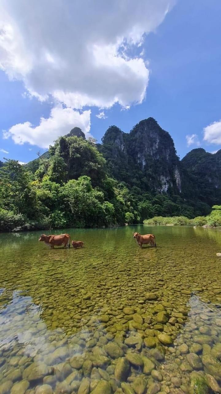 Phong Nha Backpacker Hostel Cu Lac Exterior foto